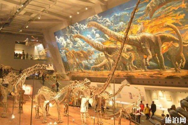 重庆自然博物馆在哪里 怎么坐车和轻轨去
