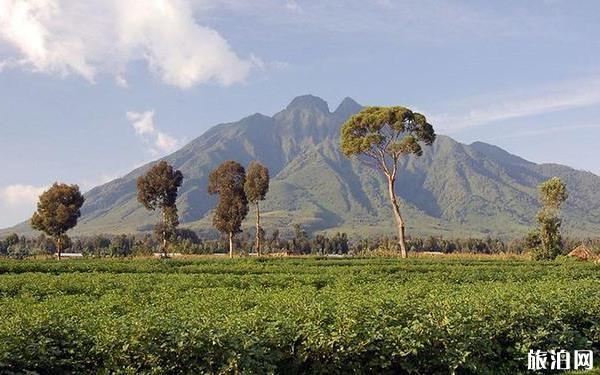 卢旺达火山国家公园门票多少钱