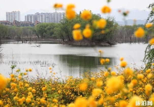 昌平新城濱河公園現在開放嗎 游玩攻略