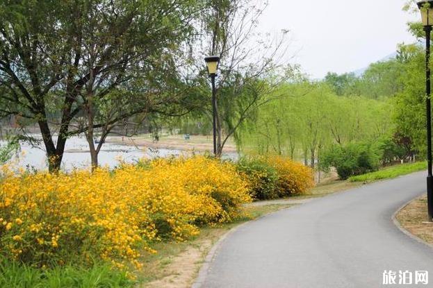 昌平新城濱河公園現在開放嗎 游玩攻略