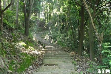 2023邵阳白云岩景区旅游攻略 - 门票价格 - 开放时间 - 景点介绍 - 简介 - 交通 - 地址 - 天气