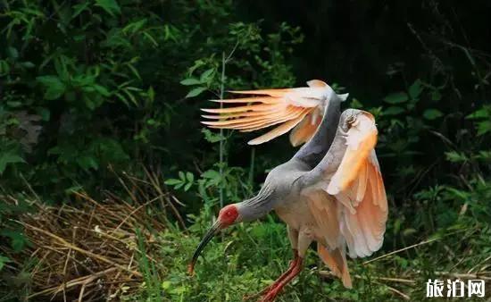 宁陕旅游景点及旅游攻略