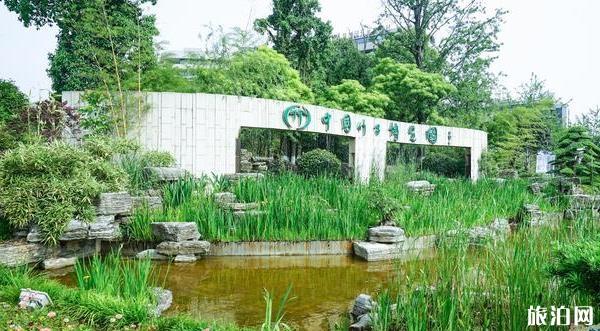 中国竹子博物馆在哪里 中国竹子博物馆怎么样