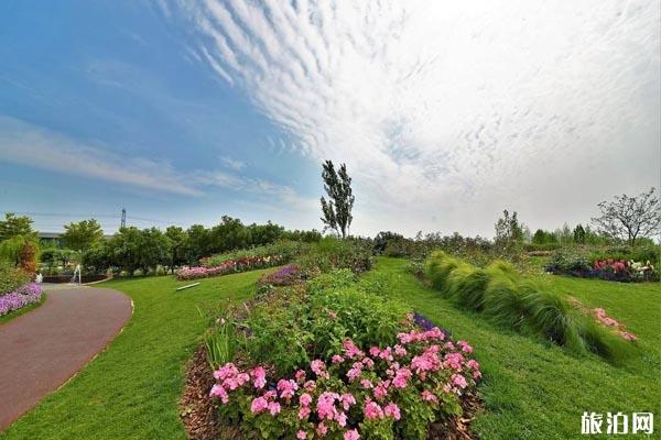 2020湖南省森林植物园玫瑰月季花展时间和地点