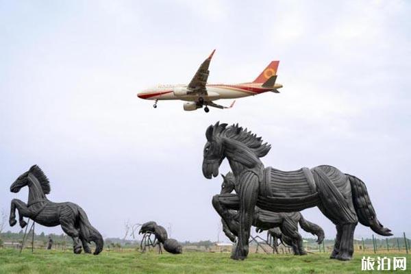 2020空港花田绣球花节时间和地点