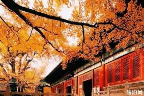 红螺寺求姻缘灵验吗