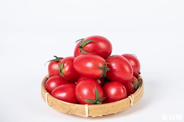 2020上海金山小番茄采摘时间 上海金山哪里有小番茄的