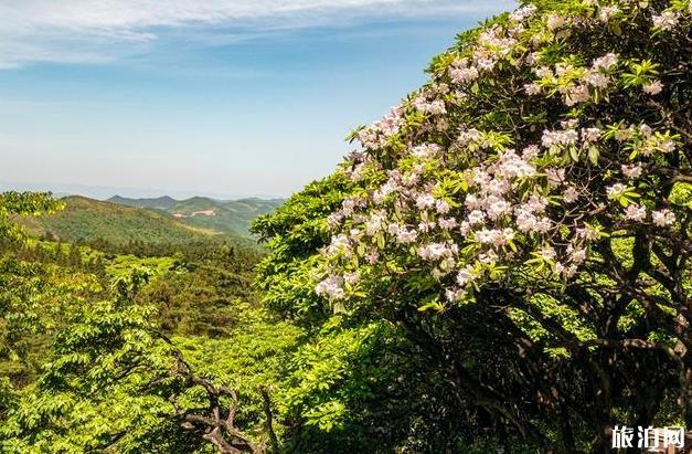 天臺山大瀑布游記 天臺山大瀑布旅游攻略