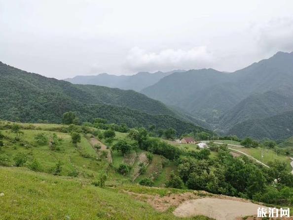 蓝田流峪寺村旅游攻略及注意事项