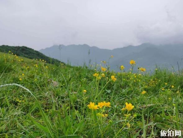 藍田流峪寺村旅游攻略及注意事項