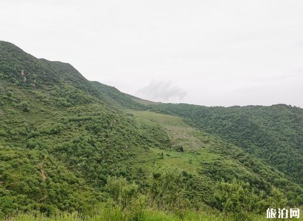 蓝田流峪寺村旅游攻略及注意事项