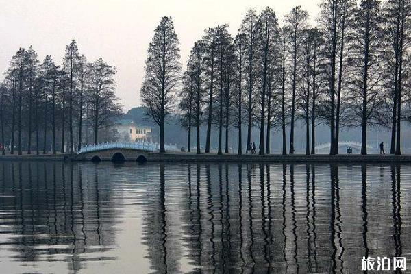 武汉东湖观光车每日消杀不低于3次