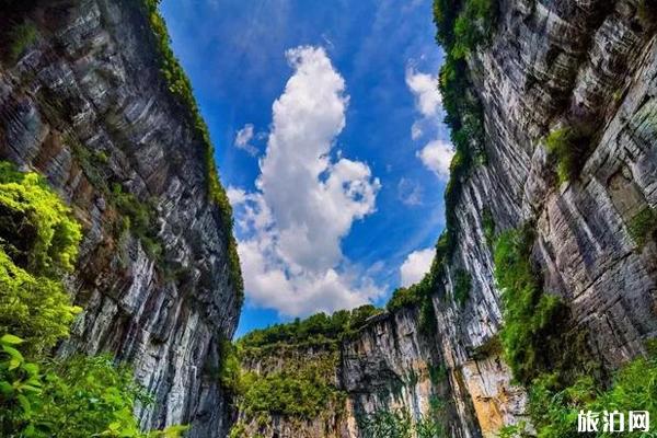 重慶夏天去哪里避暑最好 重慶夏天旅游攻略