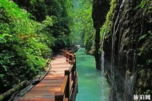 重庆夏天去哪里避暑最好 重庆夏天旅游攻略