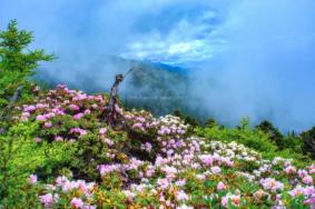 六月旅游国内最佳地排名 6月适合去什么地方