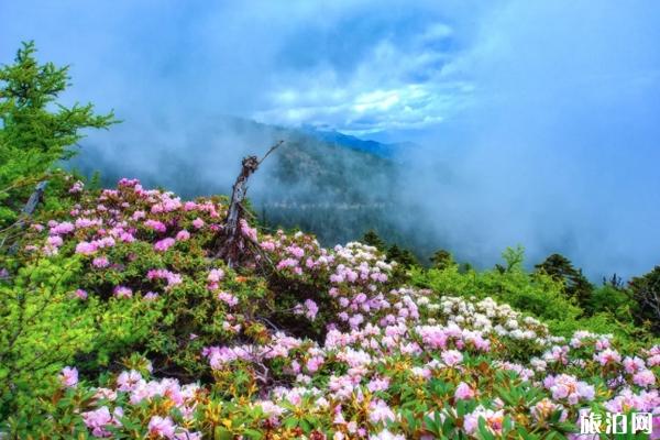 六月旅游国内最佳地排名 6月适合去什么地方