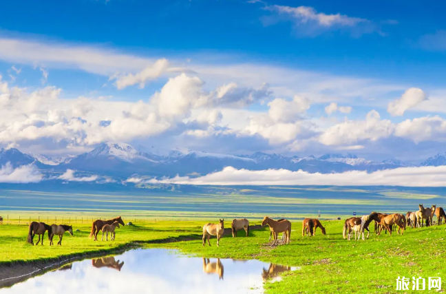 六月旅游国内最佳地排名 6月适合去什么地方