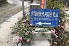 虎跳峡徒步攻略2020