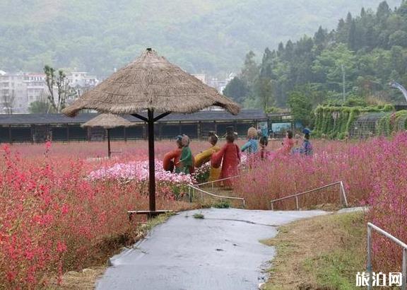 温州茶旅精品路线推荐