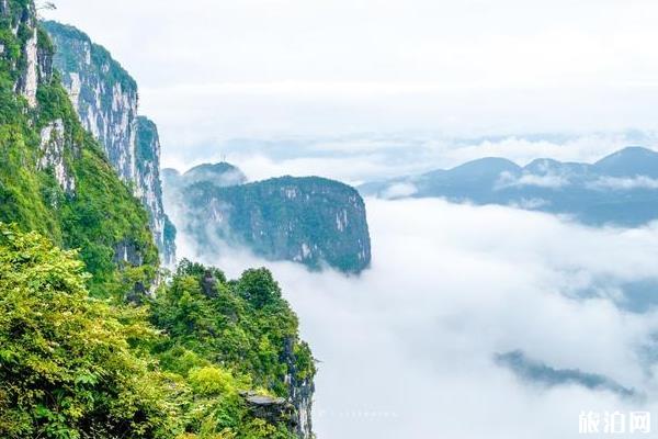 黃鶴橋峰林景區游玩攻略2020