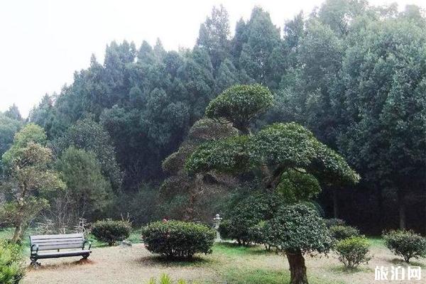 武漢馬鞍山森林公園可以燒烤嗎 附游玩攻略