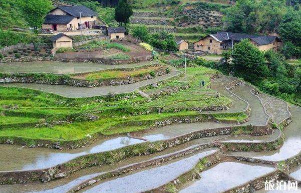 道元古村在哪 道元古村景区怎么样