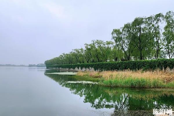 2020北京青龙湖湿地公园开放了吗 有什么好玩的