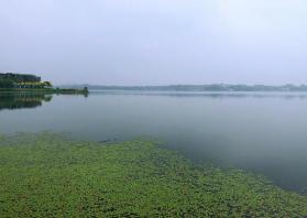 北京青龙湖湿地公园可以钓鱼吗