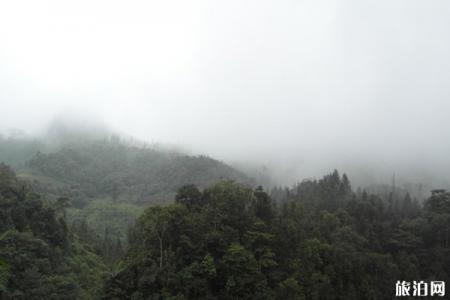 2024麻栗坡老山旅游攻略 - 门票价格 - 优惠政策 - 开放时间 - 交通 - 地址 - 电话 - 天气
