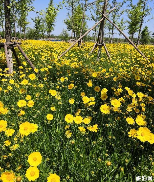 北京通州臺(tái)湖萬(wàn)畝郊野公園門(mén)票停車指南