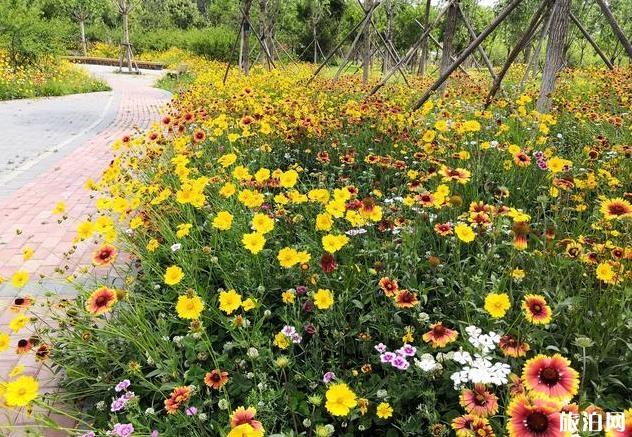 北京通州臺湖萬畝郊野公園門票停車指南