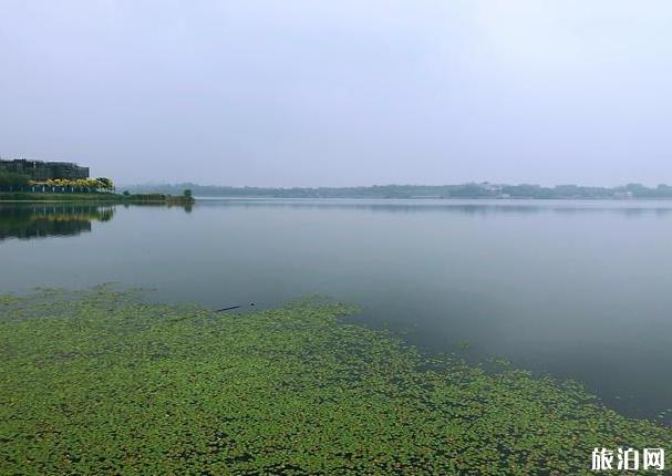 北京青龙湖湿地公园可以钓鱼吗