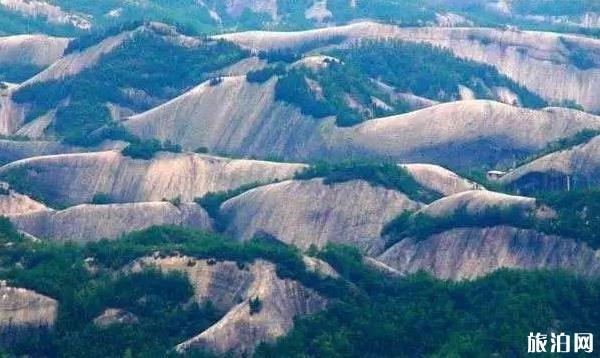 湖南对医护人员免费景区有哪些