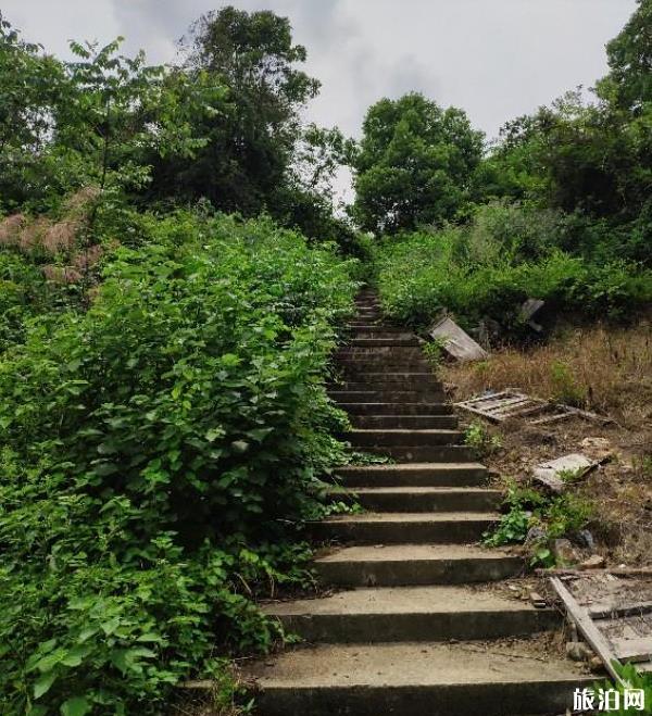 武汉江夏八分山景区攻略