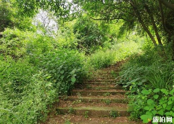 武汉江夏八分山景区攻略