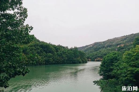 鲸鱼沟竹海风景区怎么样 鲸鱼沟竹海好玩吗