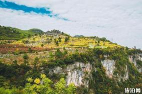 怀化黄岩生态旅游区旅游攻略-门票价格-景点信息