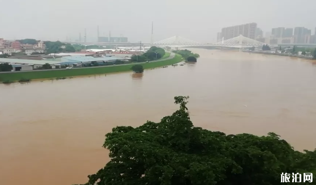 佛山洪水黃色預警 南海關閉景區名單