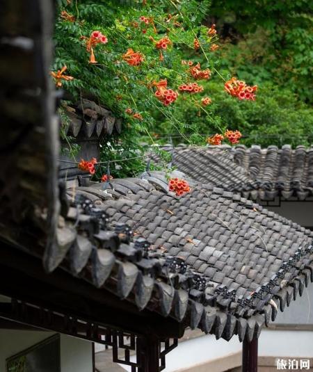 南京夫子庙瞻园美景图