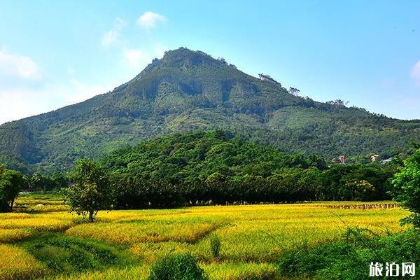 漳州圓山和芝山旅游攻略