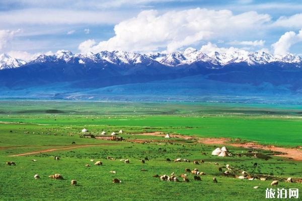 新疆夏天适合去的景点及旅游注意事项