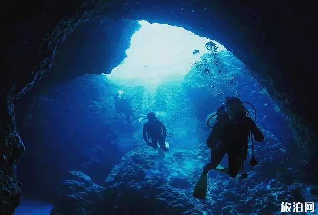 日本潜水哪里最好 日本潜水地排名