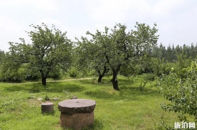 華海田園天文觀測基地攻略