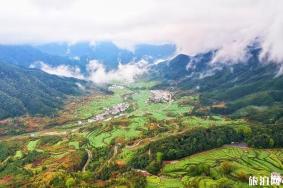 婺源江岭景区怎么样 婺源江岭好玩吗