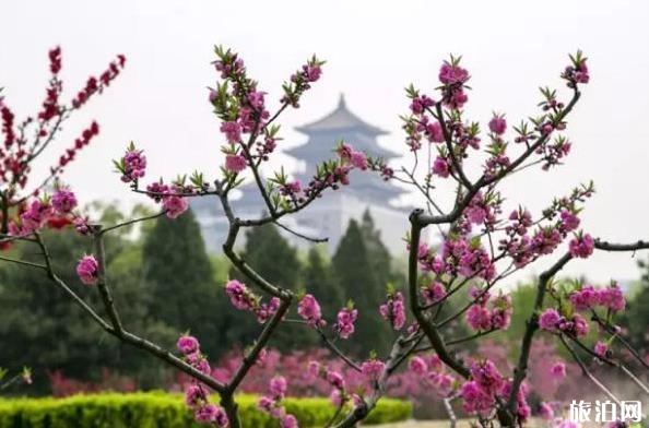 2020北京蓮花池公園需要預(yù)約嗎