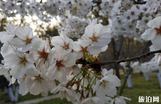 2020北京蓮花池公園需要預(yù)約嗎