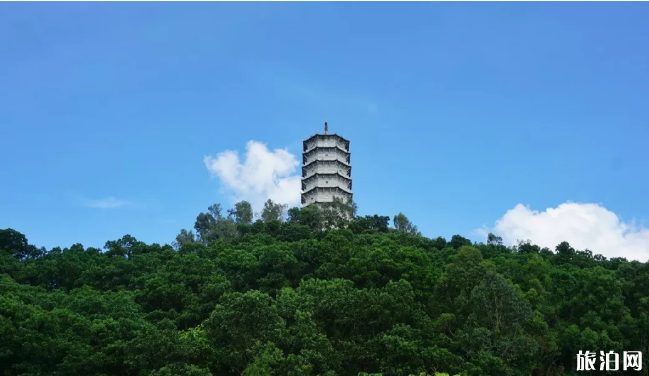 深圳弘福寺開門了嗎-預約指南