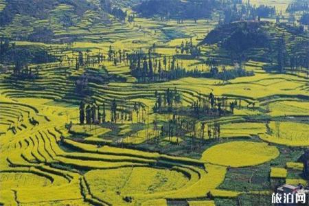 2022达州云雾峡游玩攻略 - 景点介绍 - 开放时间