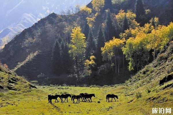 东天山正在甚么处所 东天山有甚么好玩的