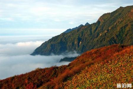 2023蓥华山风景区游玩攻略 - 门票价格 - 景点介绍